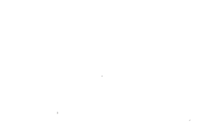 BDU